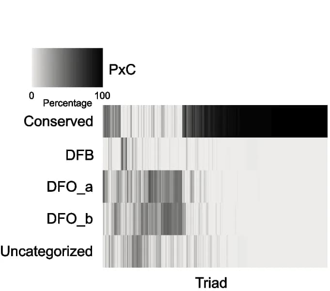 Open access visualization of Heatmap, Triad Expression, PxC, F5 Lines
