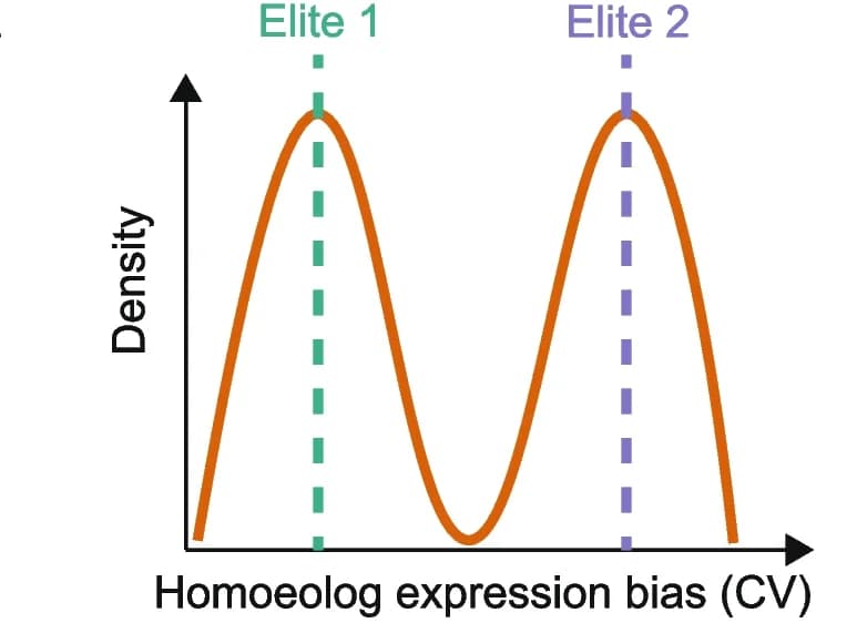 Open access visualization of Density Plot, Line Plot, Homoeolog Expression Bias, Elite Cross, Coefficient of Variation