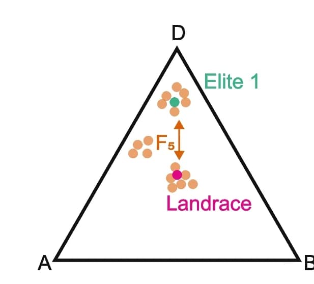 Open access visualization of Scatter Plot, Homoeolog Expression Bias, Elite Cross, Landrace Cross, Coefficient of Variation