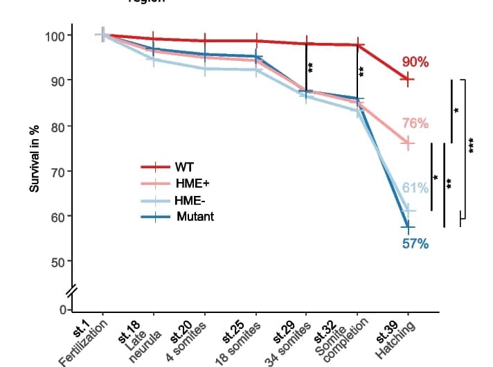 Open access visualization of Line Plot, Error Bars, Survival Curve, Embryo Survival, Developmental Stages