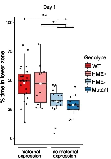 Open access visualization of Box Plot, Scatter Plot, Novel Tank Test, Mean Velocity, ANOVA