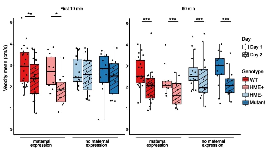 Open access visualization of Box Plot, Scatter Plot, Mean Velocity, ANOVA, Tukeys Statistical Test