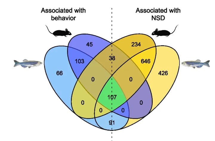 Open access visualization of Venn Diagram, Zebrafish, Mouse, Oocyte Genes, Behavior
