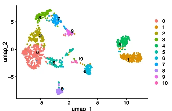 Open access visualization of UMAP, Cell Clustering, Venom Gland, scRNA-seq