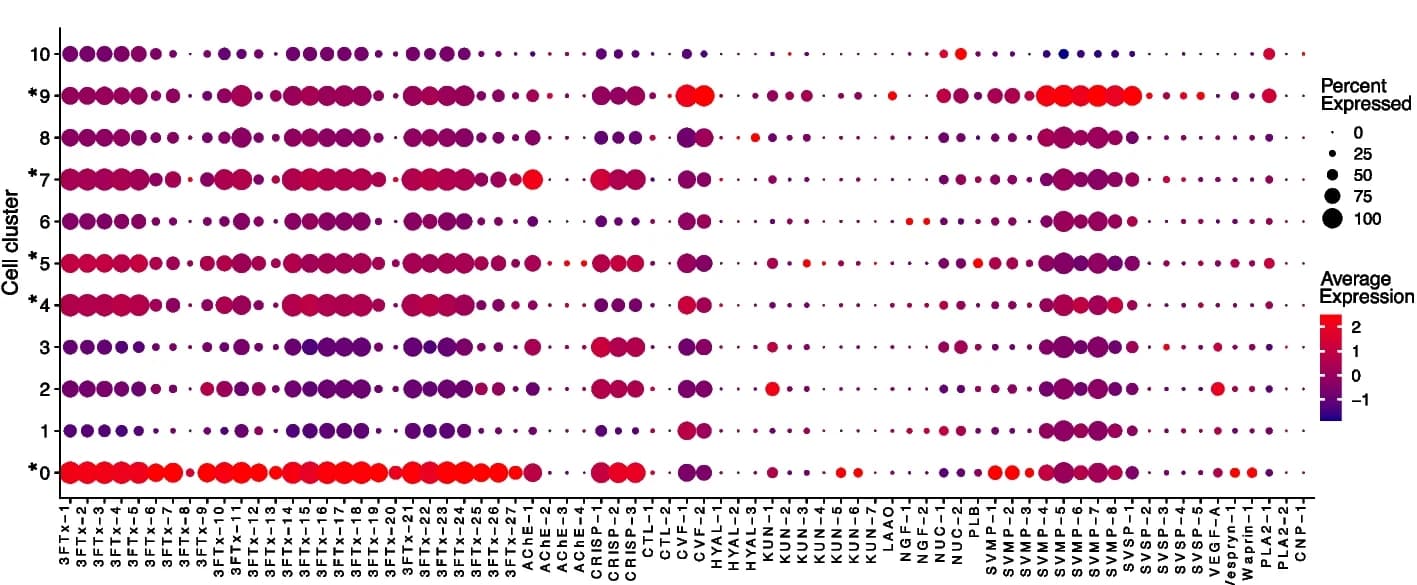 Open access visualization of Bubble Plot, Toxin Genes, Cell Cluster, Gene Expression, Toxin Clusters