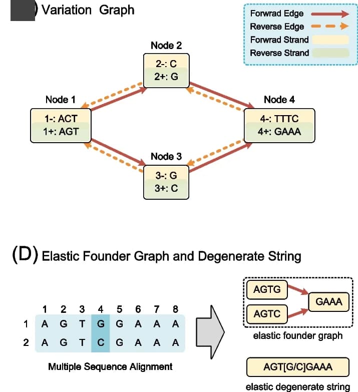 Open access visualization of Network, Pathway, Workflow, Variation Graph