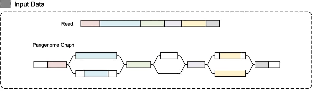 Open access visualization of Network, Pathway, Reads, Graph, S2G Mapping