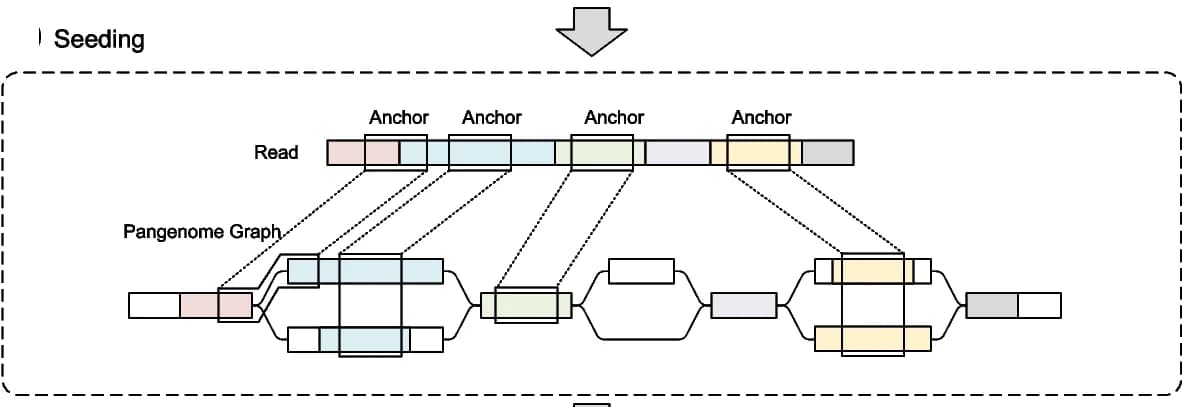 Open access visualization of Workflow, Flowchart, Seeding, Reads, Graph