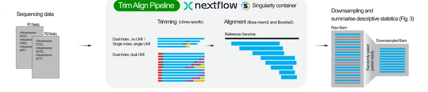 Open access visualization of Workflow, Flowchart, Data Trimming, Data Alignment, cfDNA