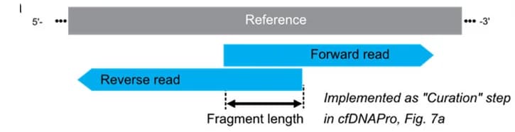 Open access visualization of Workflow, Illustration, Fragment Length, cfDNA