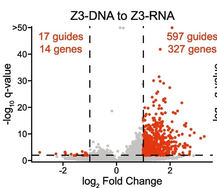 Open access visualization of Volcano Plot, Scatter Plot, CiBER-seq, Z3PM, RNA Barcodes