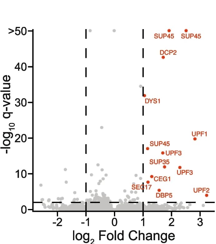 Open access visualization of Volcano Plot, Scatter Plot, CiBER-seq, NMD, Regulators