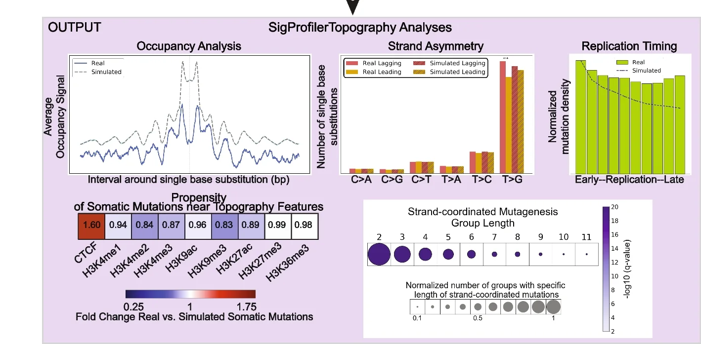 Open access visualization of Line Plot, Bar Plot, Scatter Plot, Heatmap, Occupancy