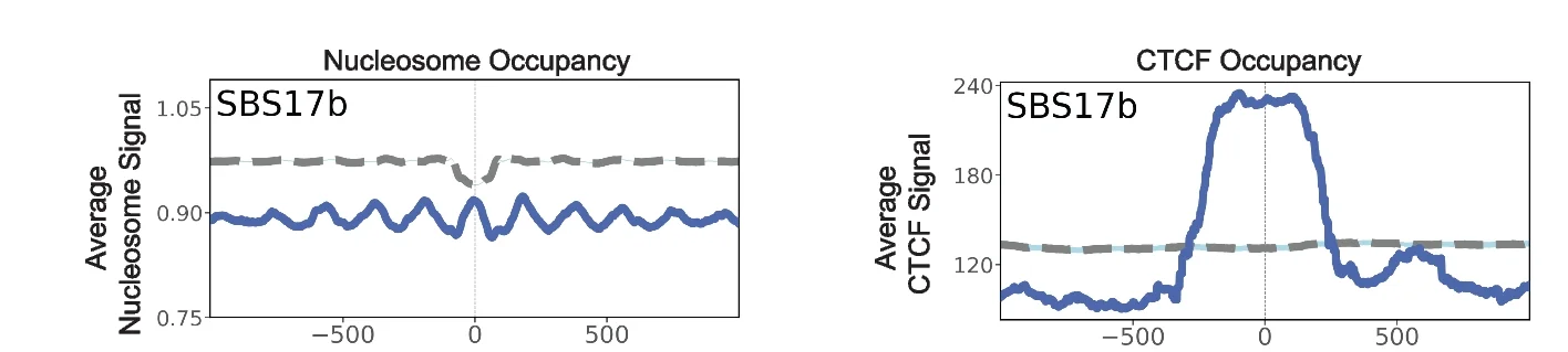 Open access visualization of Line Plot, Nucleosome Occupancy Analysis, CTCF Occupancy Analysis, Substitution Signature, Somatic Mutation Locations