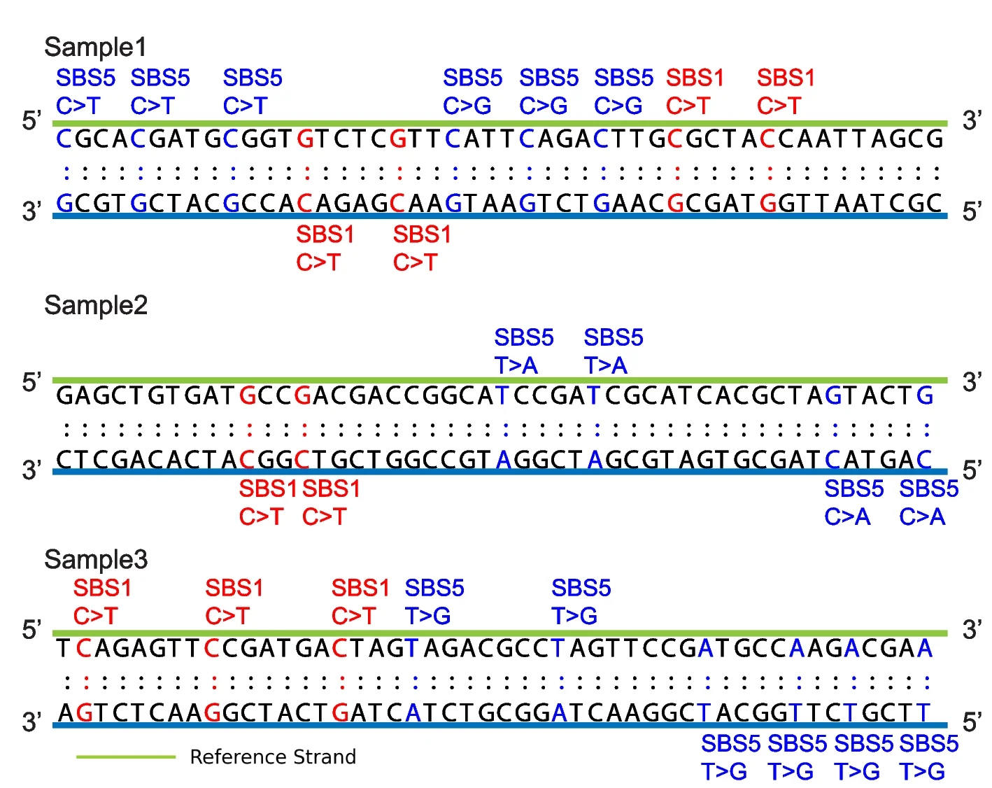 Open access visualization of Illustration, DNA Strand, Base Substitutions, Mutational Signatures, SBS5