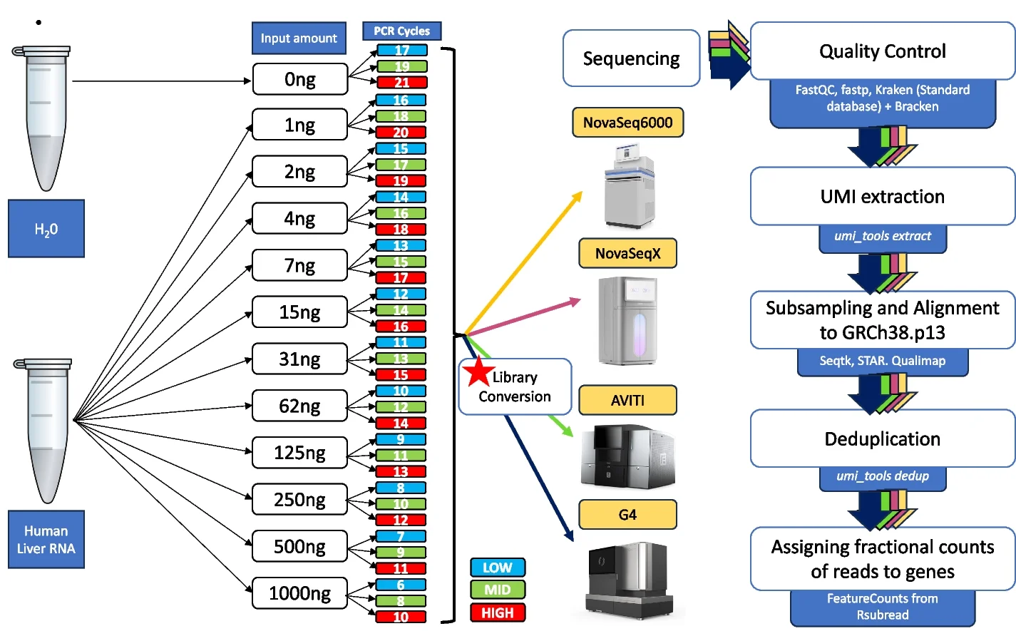 Open access visualization of Workflow, Flowchart, Illustration, RNA Sequencing, Library Preparation