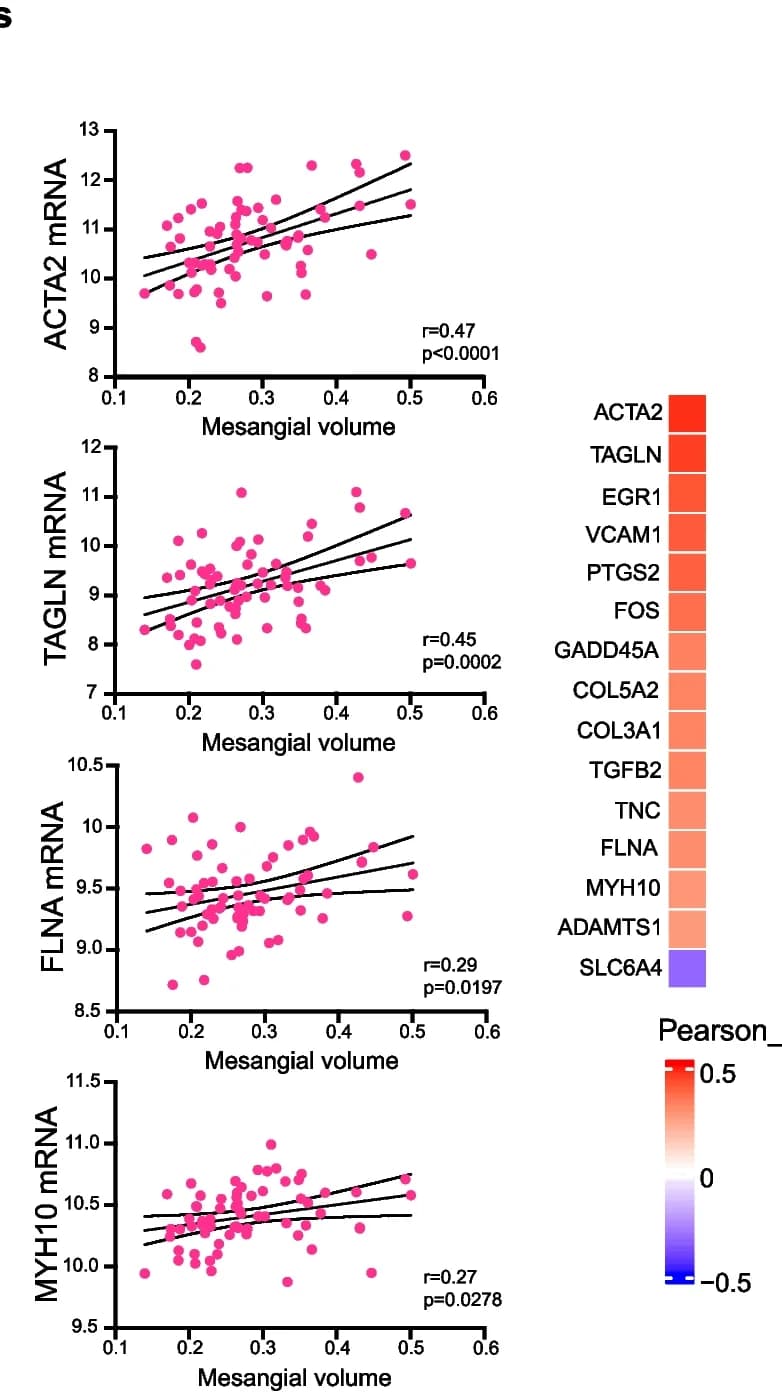 Open access visualization of Scatter Plot, Regression Plot, Heatmap, Pearson correlations, MRTF