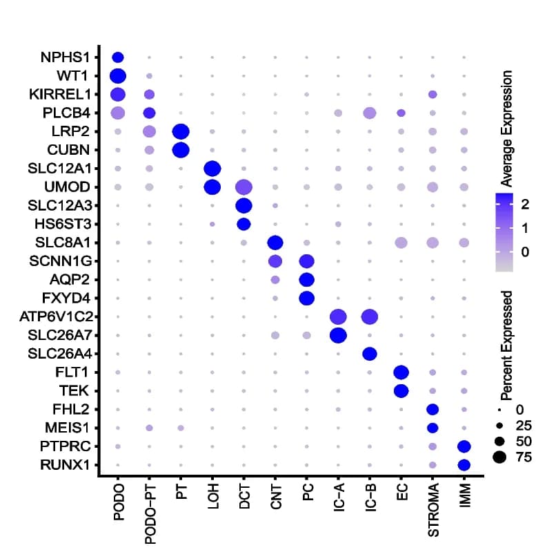 Open access visualization of Bubble Plot, Dot plot, Marker genes, Cell types, Stromal Cells
