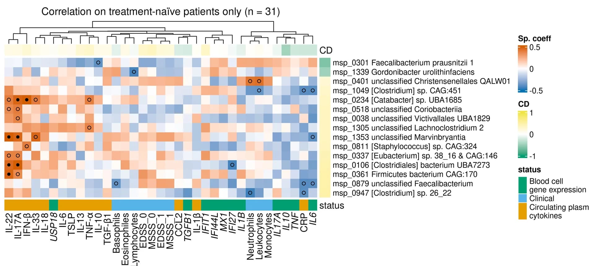 Open access visualization of Heatmap, Clustered, Bacterial Species, Inflammation Markers, Treatment-Naive Patients