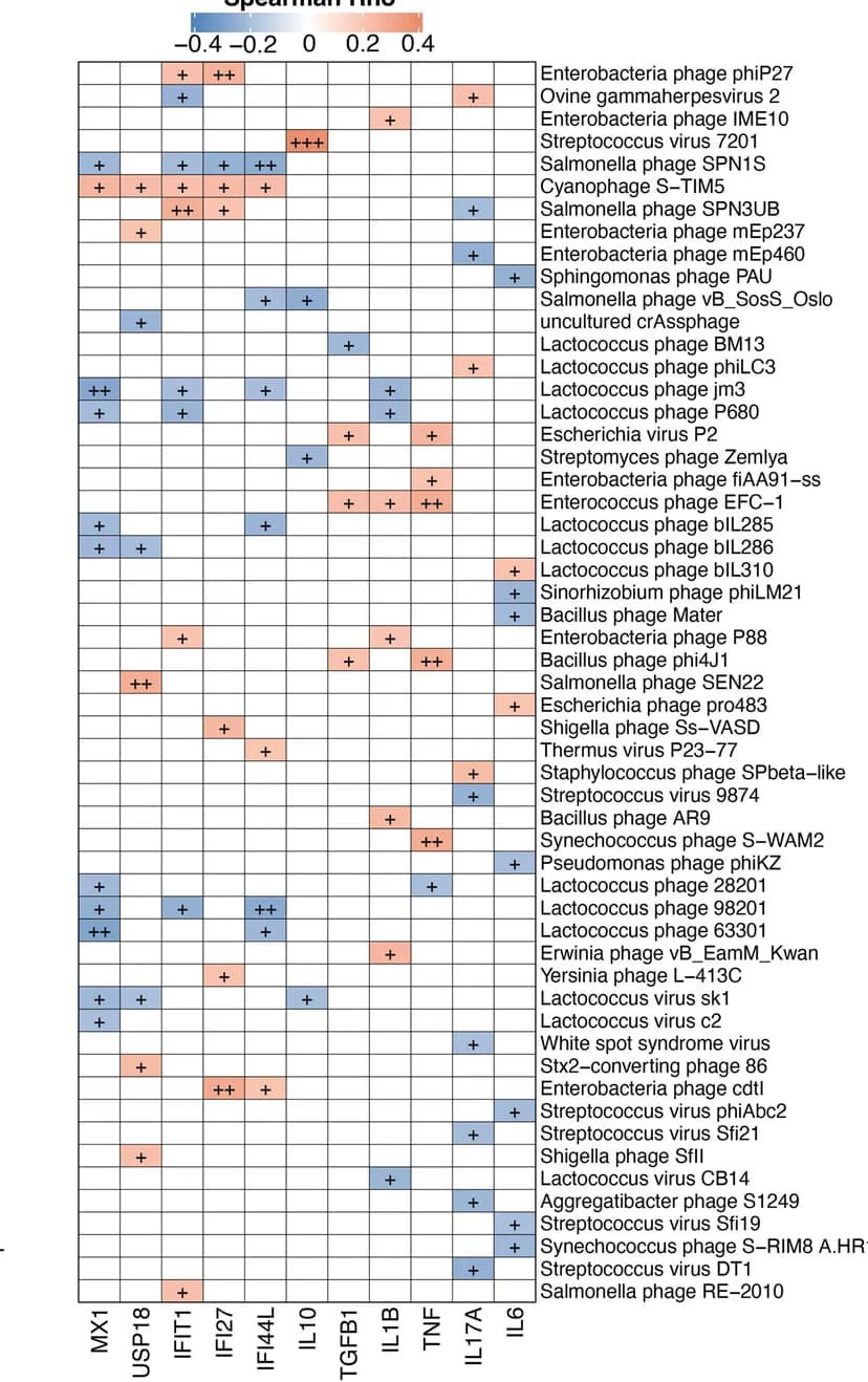 Open access visualization of Heatmap, Gut Viral Species, Blood Cell Expression, Inflammation Markers, Wilcoxon's Rank Sum Test