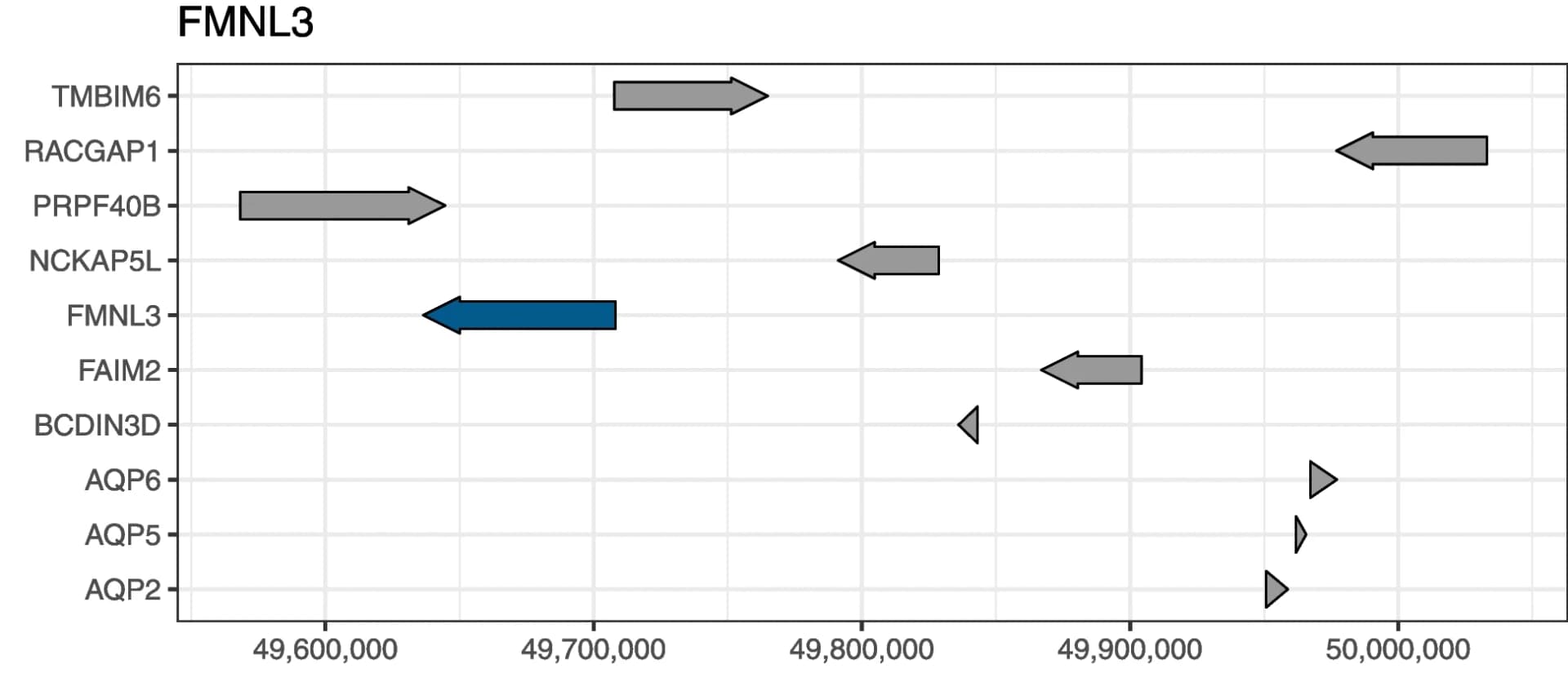 Open access visualization of Illustration, Coding Regions, Genes, Chromosomal Region, FMNL3