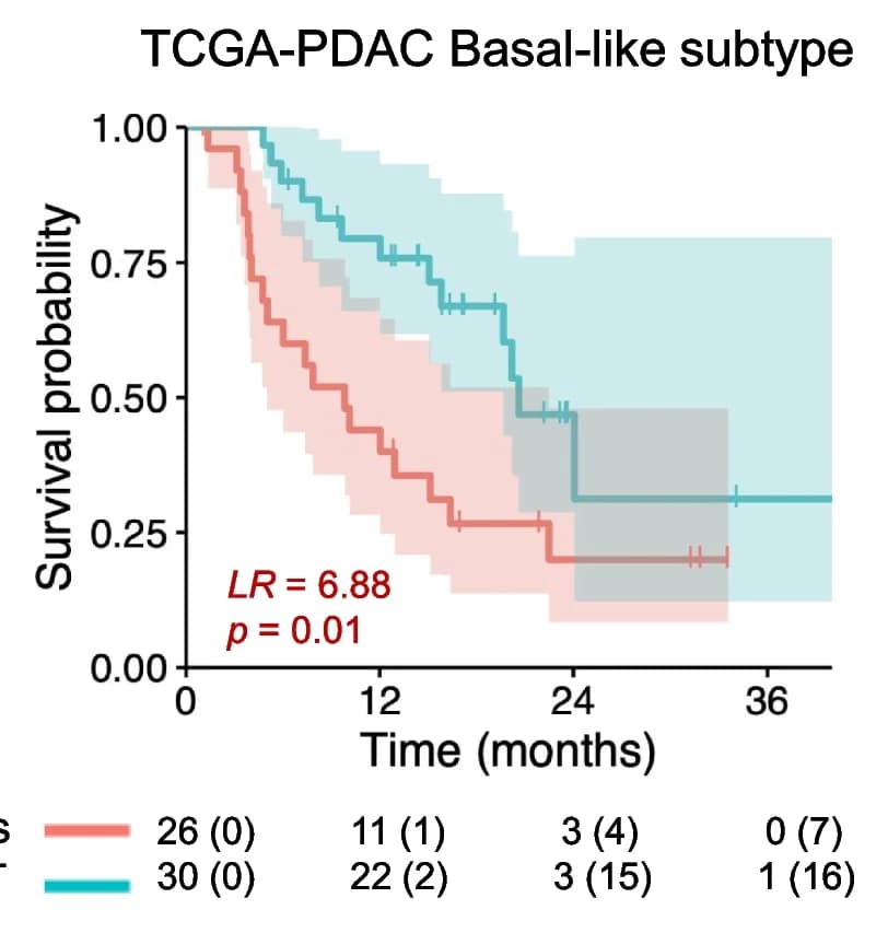 Open access visualization of Survival Curve, Line Step, Error Bars, Survival Curves, TCGA-PDAC