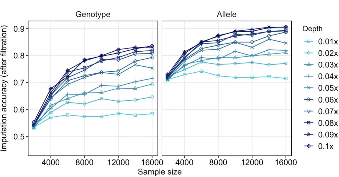 Open access visualization of Line Plot, INFO score, HWE p-value, Genotype, Allele
