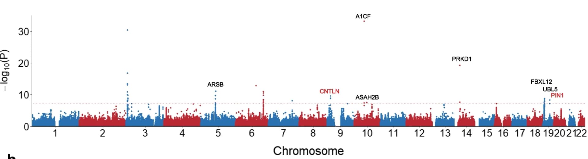 Open access visualization of Manhattan Plot, Genome-Wide Association Study, Single Nucleotide Polymorphism, Gestational Age, Genome-Wide Significance