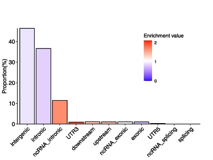 Open access visualization of Bar Plot, Functional Annotation, Enrichment Test, Candidate SNPs, FUMA