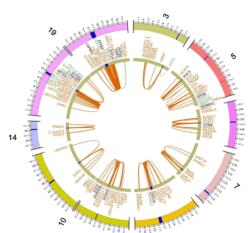 Open access visualization of Network, Pathway, Circos Plot, Chromatin Interactions, eQTL Mapping