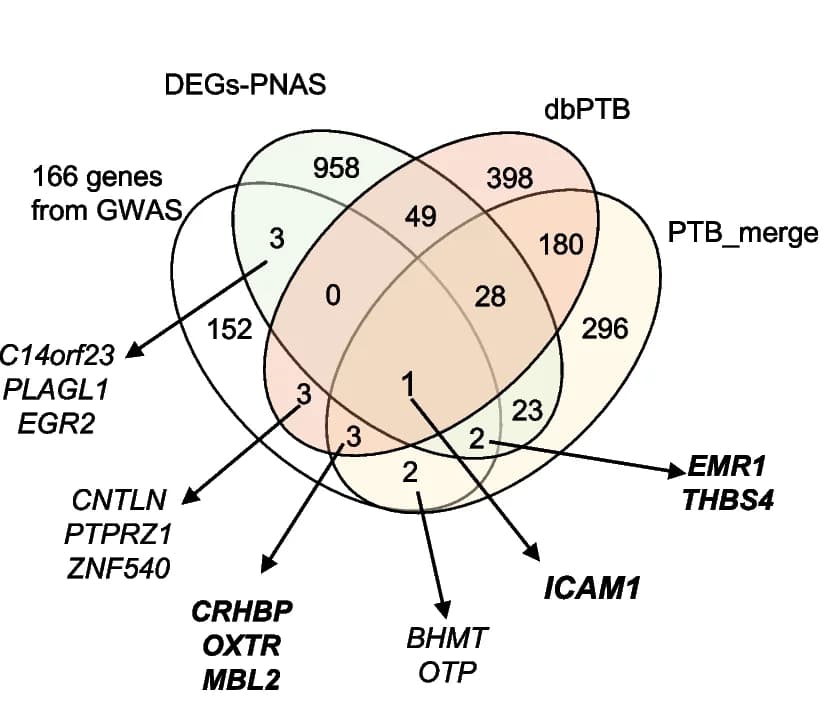 Open access visualization of Venn Diagram, PTB Genes, Mapped Genes, Genomic Risk Loci, Infant Disease