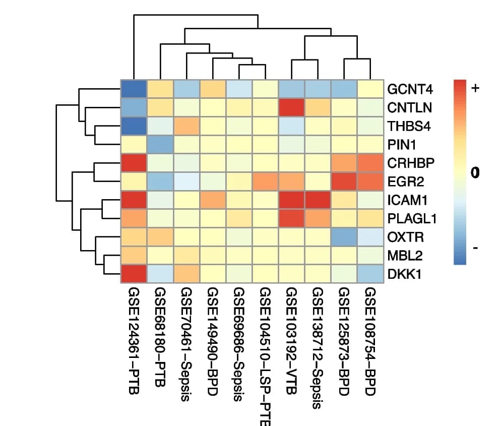 Open access visualization of Heatmap, Clustered, Heatmaps, Expression Profiling, PTB Genes