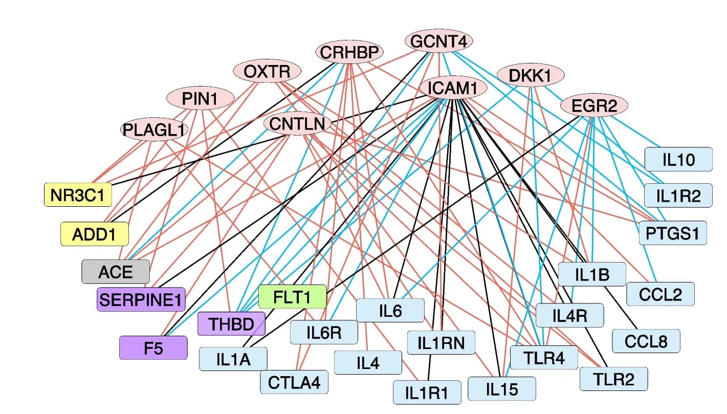 Open access visualization of Network, Pathway, Gene Co-expression Network, Maternal PTB, BPD