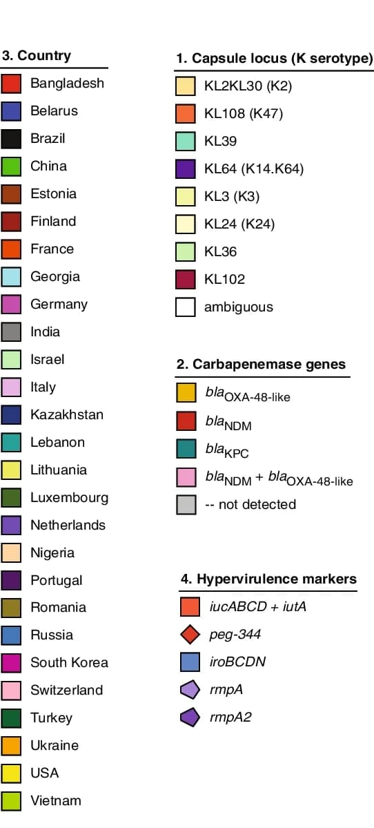 Open access visualization of Table Image, Phylogenetic Tree, Isolates, SNP Analysis, Clades