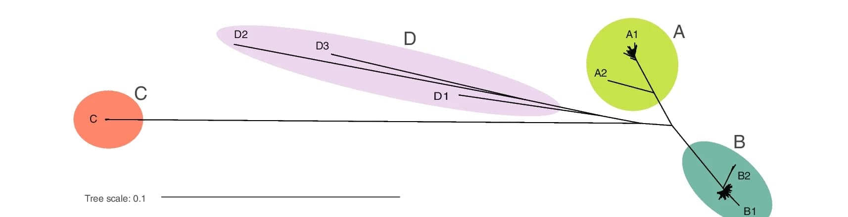 Open access visualization of Network, Pathway, Unrooted Tree, Clades, Subclades