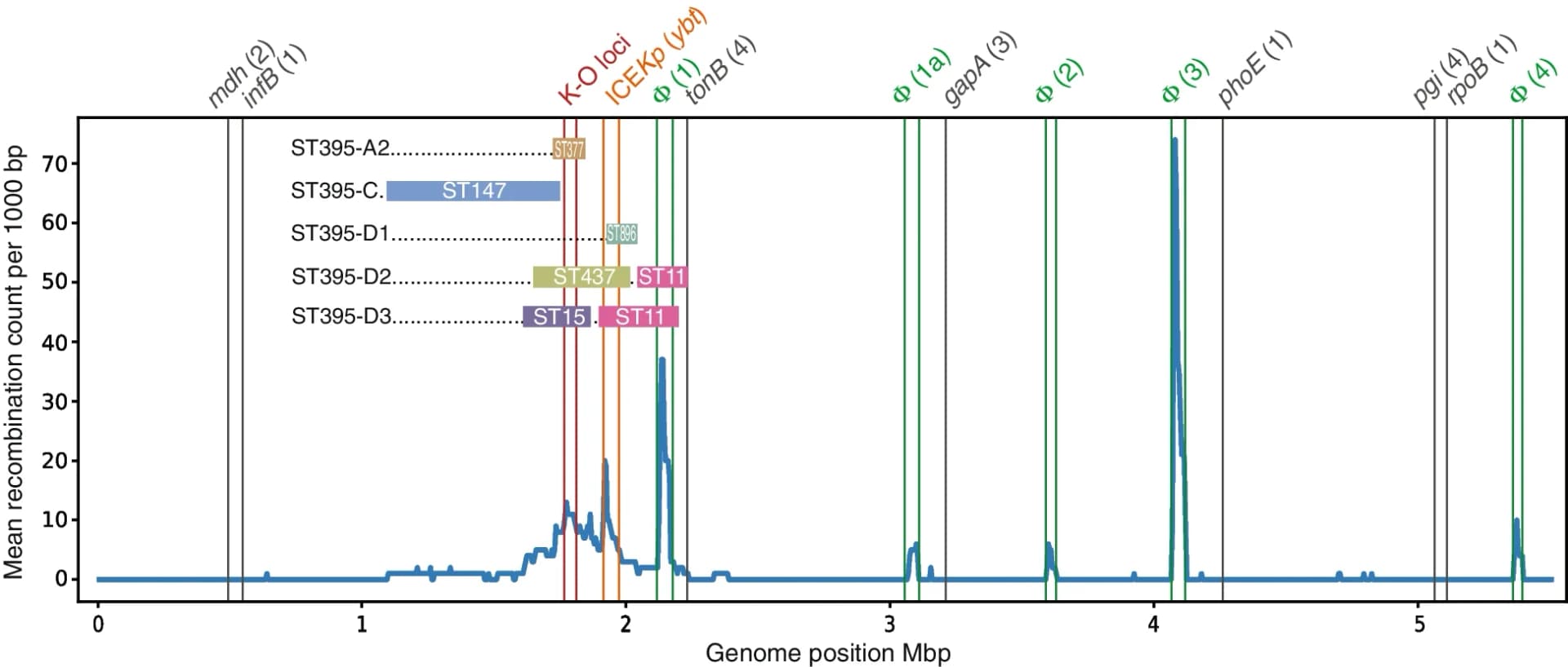 Open access visualization of Line Plot, ST395 chromosomes, Recombination events, MLST loci, ICE Kp element