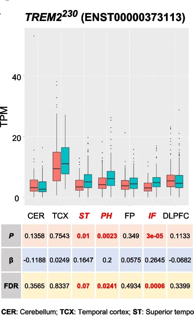 Open access visualization of Box Plot, Table Image, TREM2 Isoforms, Brain Regions, Control Subjects