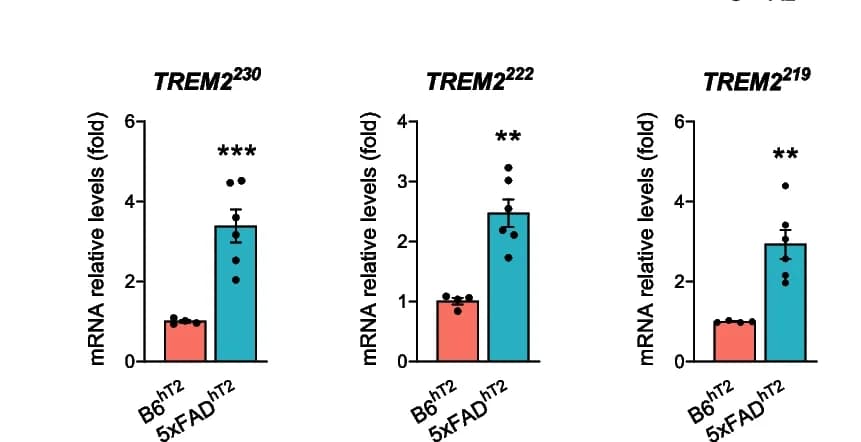Open access visualization of Bar Plot, Error Bars, Scatter Plot, qPCR Expression Analysis, TREM2 Isoforms