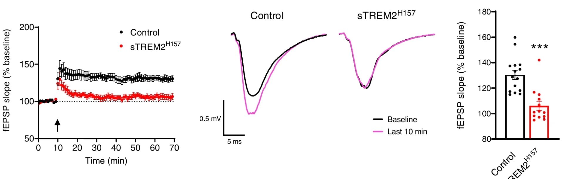 Open access visualization of Line Plot, Error Bars, Bar Plot, sTREM2 H157, Electrophysiology