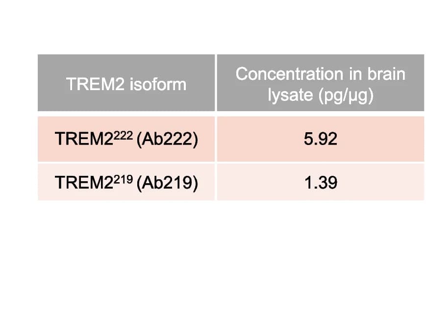 Open access visualization of Table Image, TREM2, Concentration, Brain Lysate, ELISA