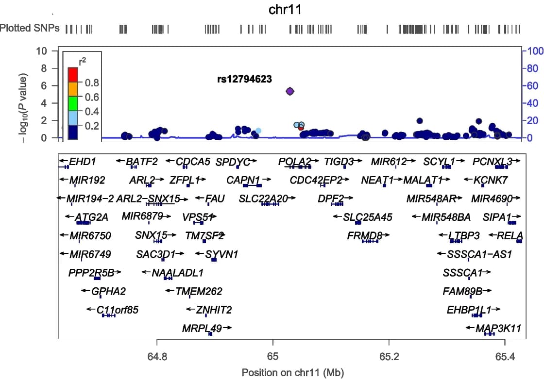 Open access visualization of Scatter Plot, Line Plot, Manhattan Plot, Regional Plot, Linkage Disequilibrium