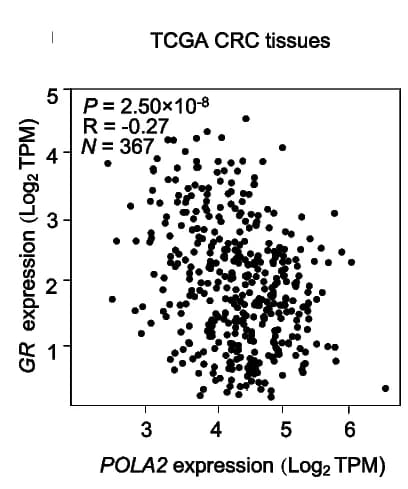 Open access visualization of Scatter Plot, Regression Plot, POLA2, GR, TCGA COAD Tissues