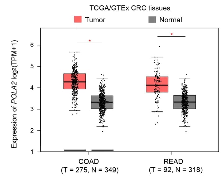 Open access visualization of Box Plot, Scatter Plot, POLA2, CRC Tissues, Peritumor Tissues
