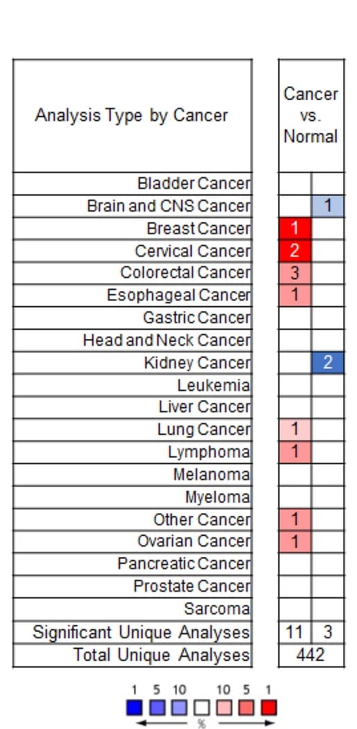 Open access visualization of Heatmap, POLA2, Expression Levels, Tumor Tissue Types, Oncomine Database