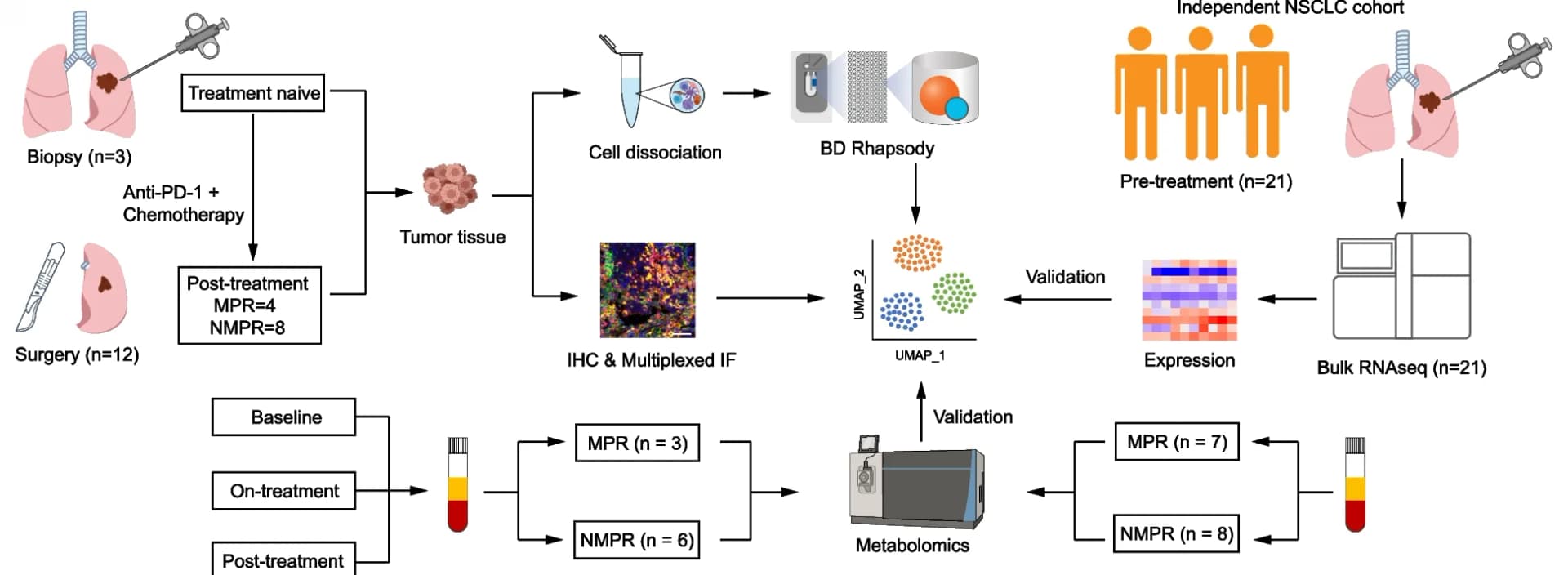 Open access visualization of Workflow, UMAP, Heatmap, Microscopy, Study Design