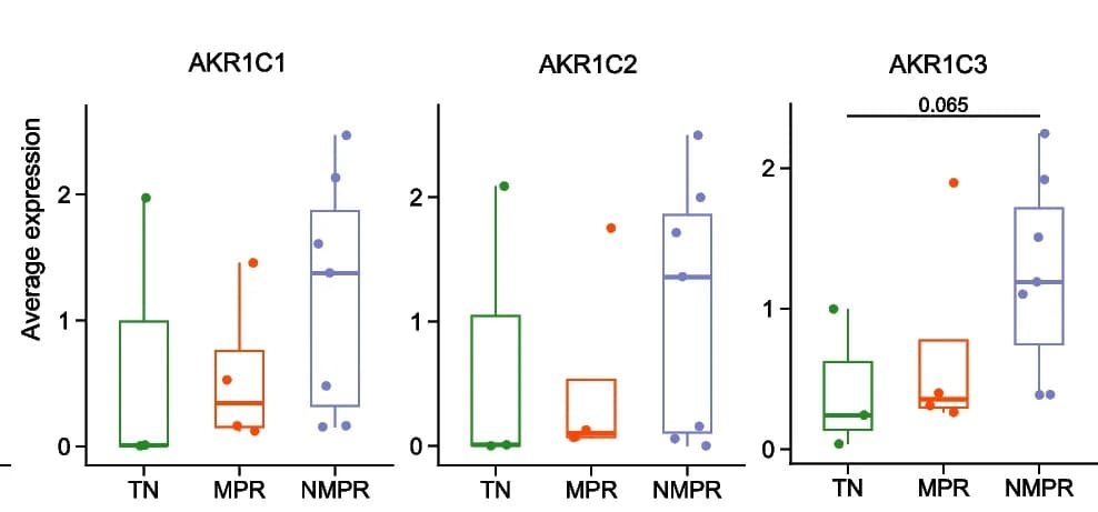 Open access visualization of Box Plot, Scatter Plot, Boxplots, ARK1C1-3, Malignant Cells