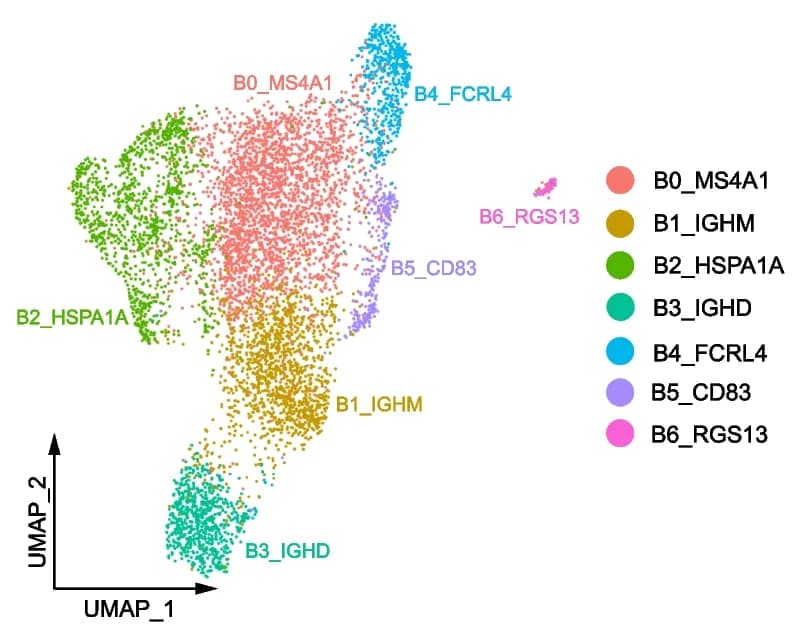 Open access visualization of Scatter Plot, UMAP, B Cells, Clusters