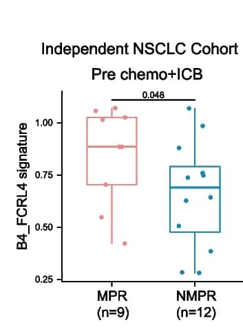 Open access visualization of Box Plot, Scatter Plot, Violin Plots, Box Plots, B4_FCRL4 Signature