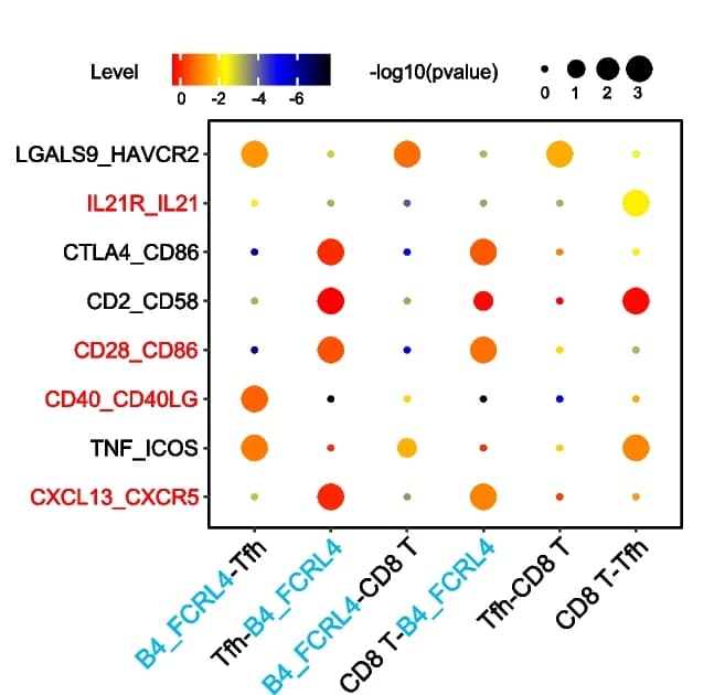 Open access visualization of Bubble Plot, Ligand-Receptor Interactions, CellPhoneDB, B4_FCRL4 Cells, Tfhs