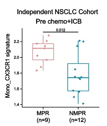 Open access visualization of Box Plot, Scatter Plot, Violin Plot, Mono_CX3CR1 Signature, Validation Cohort
